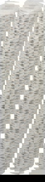 Plumbing Cartridge Filter: 2-1/2